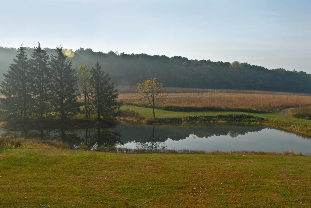 pond at wing pointe sporting clays