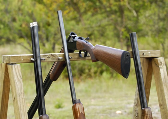 shotguns